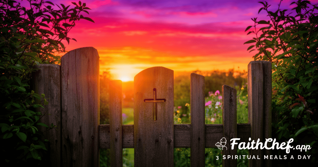 Thursday Prayer: My Body