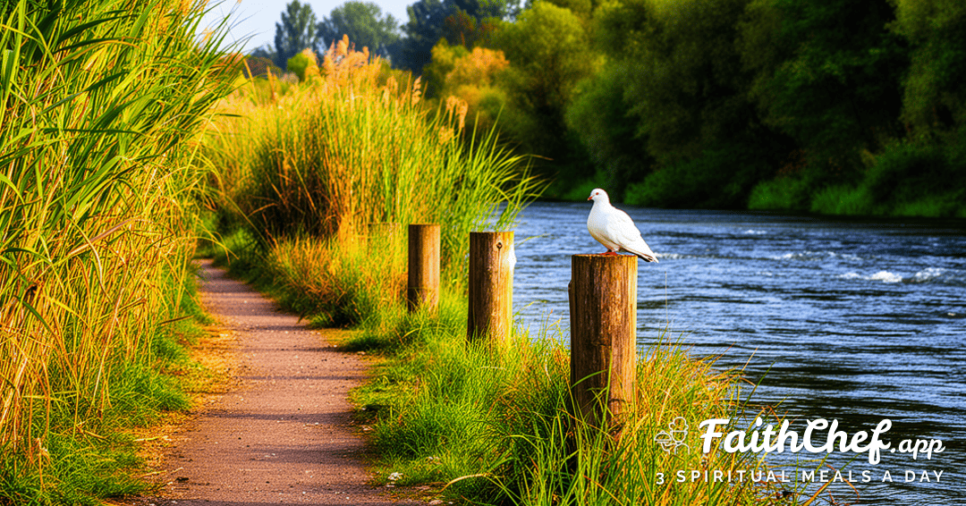 Thursday Prayer: Permission to Mourn